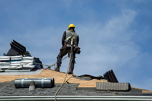 Professional Storm Damage Roof Repair technician working in Ellijay, GA